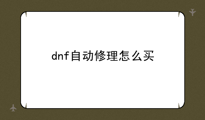 dnf自动修理怎么买