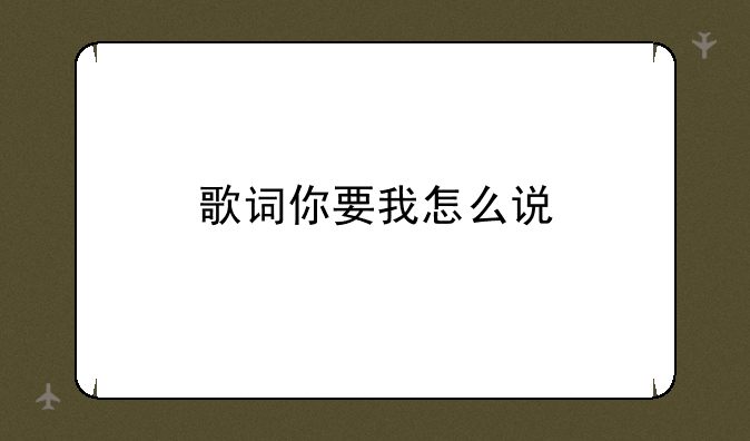 歌词你要我怎么说
