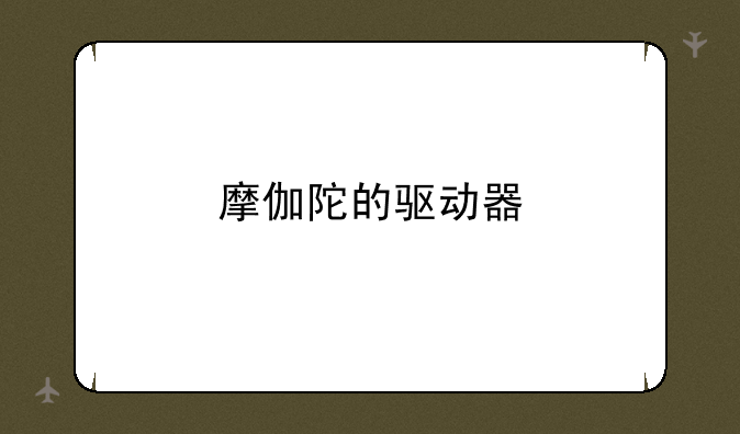 摩伽陀的驱动器