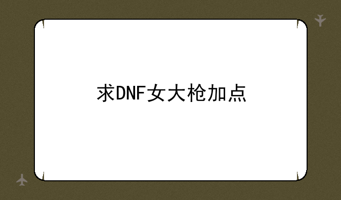 求DNF女大枪加点
