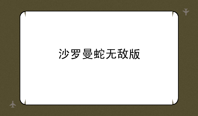 沙罗曼蛇无敌版