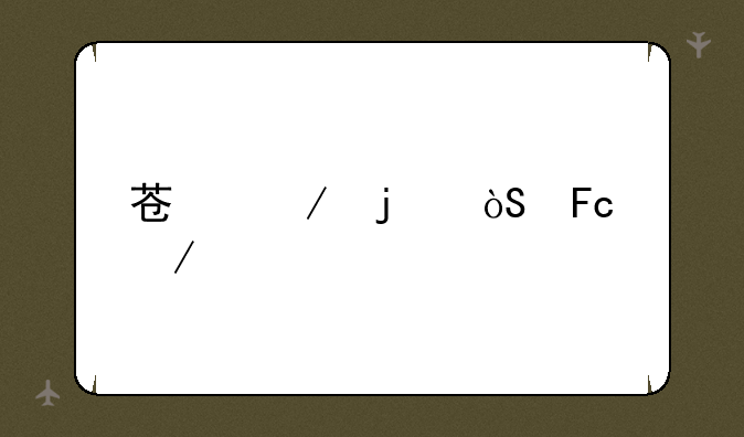 苏秋的演员介绍