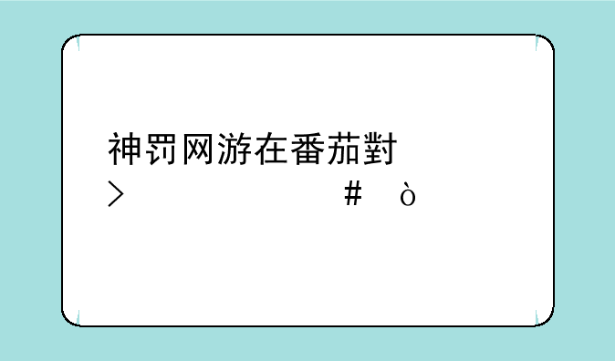 神罚网游在番茄小说叫什么？