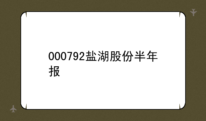 000792盐湖股份半年报