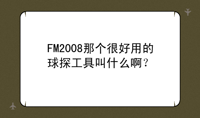 FM2008那个很好用的球探工具叫什么啊？