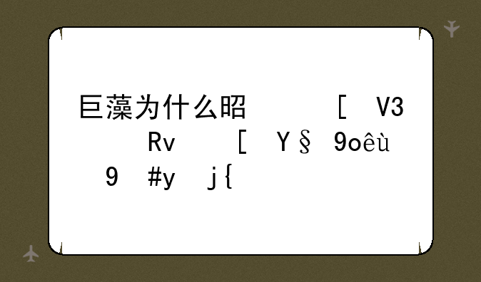 巨藻为什么是世界上生长最快的植物？