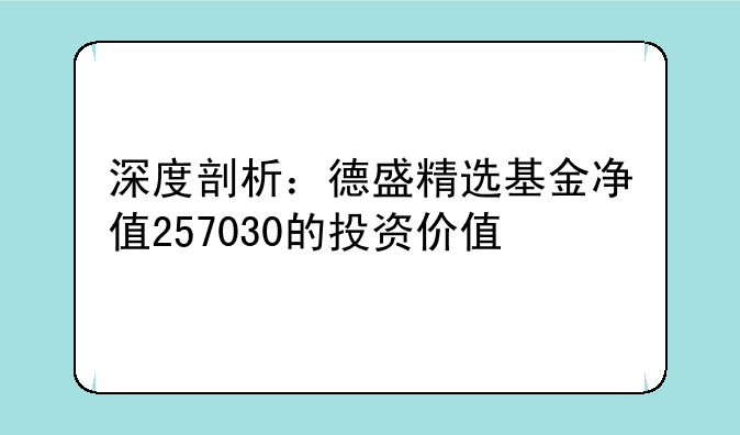 深度剖析：德盛精选基金净值257030的投资价值