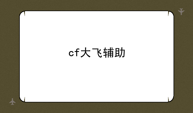 cf大飞辅助