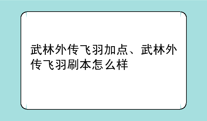 武林外传飞羽加点、武林外传飞羽刷本怎么样